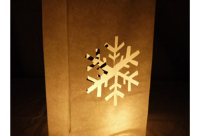 snowflake paper luminaries