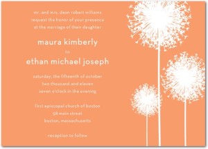 whimsical-wedding-invitations4